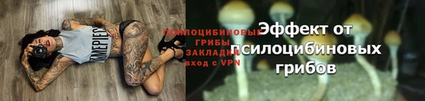 первитин Бородино