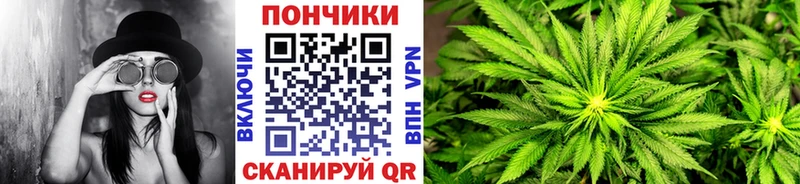Бошки Шишки план Сольвычегодск